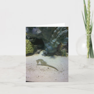 Seahorse Note Card
