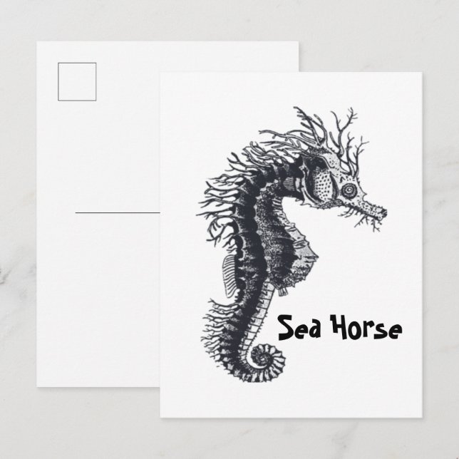 SEAHORSE POSTCARD (Front/Back)