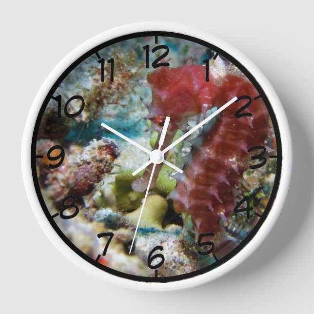 Seahorse Round Wall Clock (Front)