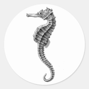 "SEAHORSE" SEALIFE ENVELOPE SEAL STICKER