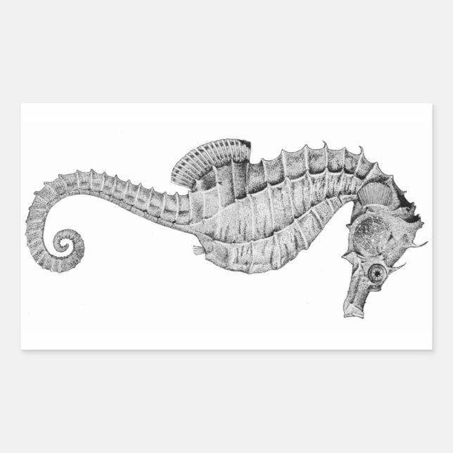 Seahorse Stickers (Front)