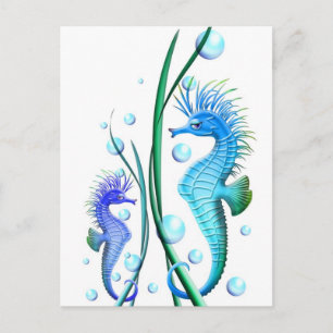 Seahorses Cartoon Postcard