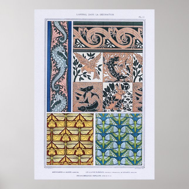 Seahorses, Lizards, Dragonflies, Butterflies Poster (Front)