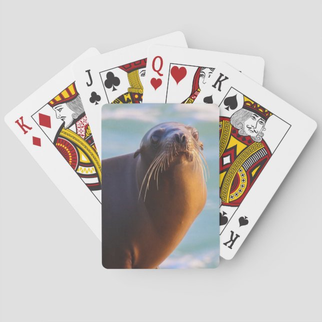 Seal 1- What you looking at! Playing Cards (Back)