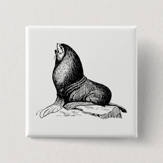 Seal 2 Inch Square Button (Front)