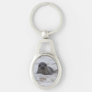 Seal - Animal Photo Image Oval Metal Keychain