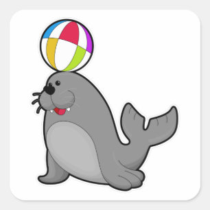 Seal at Water sports with Water polo