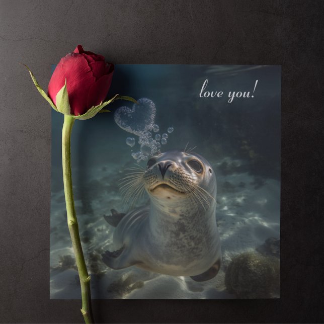 seal blowing heart bubbles (Creator Uploaded)