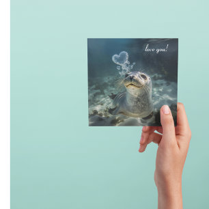 seal blowing heart bubbles