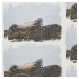 Seal Fabric