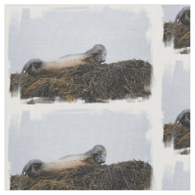 Seal Fabric (Close Up)