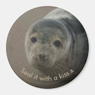 Seal it with a kiss cute baby gray seal magnet