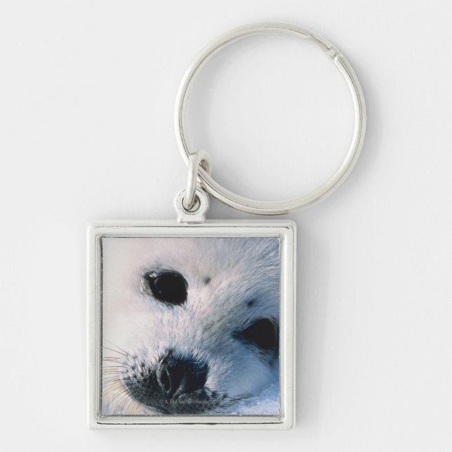 Seal Keychain (Front)