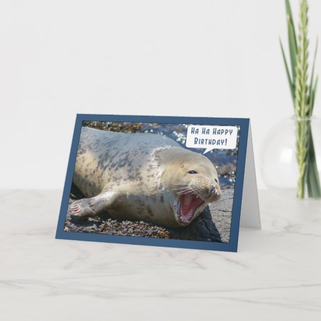 seal laughing birthday greeting card - ha ha happy (Front)