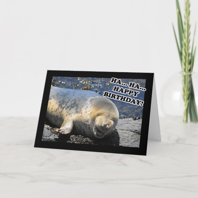 Seal Laughing Ha Ha Happy Birthday Card (Front)