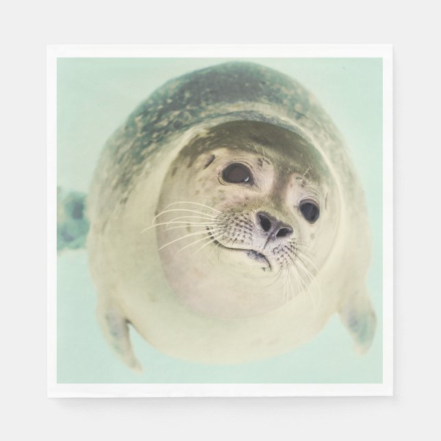 seal napkin (Front)