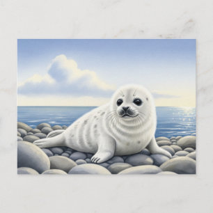 Seal of Approval Baby Wild Animals Postcard