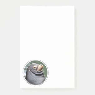 Seal of Disapproval 4x6 Notes