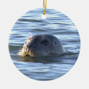 Seal Photo Ornament