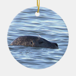 Seal Photo Ornament