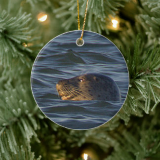 Seal Photo Ornament 