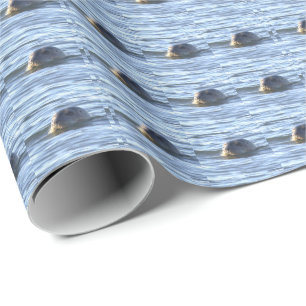 Seal Photo Wrapping Paper