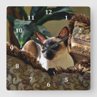 Seal Point Siamese Cat on Comfy Pillow