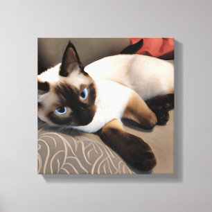 Seal Point Siamese Digital Portrait   Canvas Print