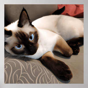 Seal Point Siamese Digital Portrait  Poster