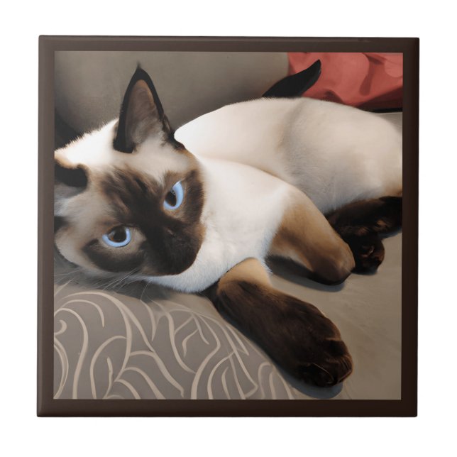 Seal Point Siamese Digital Portrait    Tile (Front)