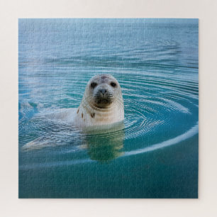 Seal Pup Adventure Jigsaw Puzzle