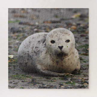 Seal Puzzle