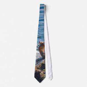 Seal Rock at La Jolla Beach in San Diego Tie