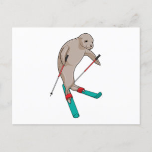 Seal Skier Ski Postcard