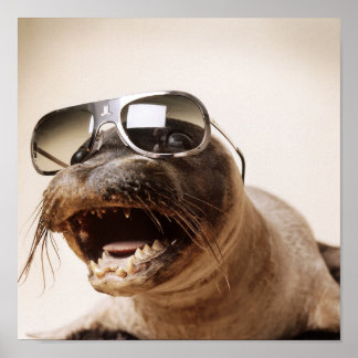 seal style poster
