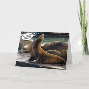 Seal Superhero Pose Card