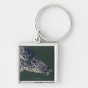 Seal swimming under the water 2 keychain