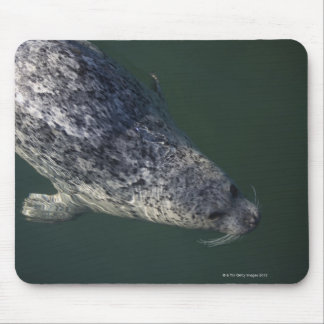 Seal swimming under the water 2 mouse pad