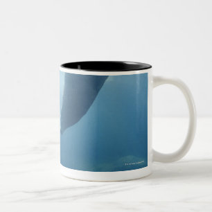 Seal swimming under the water Two-Tone coffee mug