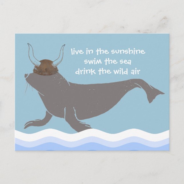 Seal Viking Illustration Postcard (Front)
