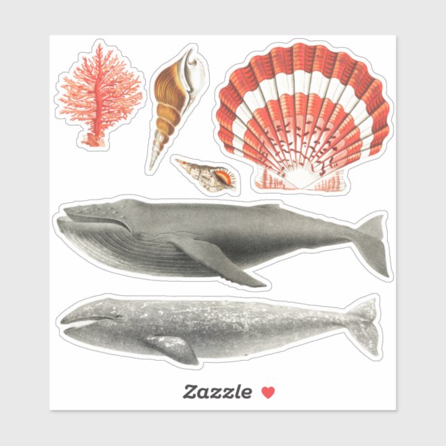 SEALIFE AQUATIC STICKER COLLECTION WITH WHALES (Sheet)