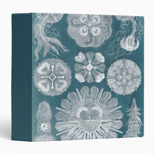 Sealife Blueprint IV Binder