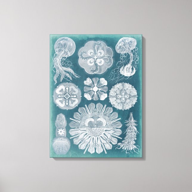 Sealife Blueprint IV Canvas Print (Front)