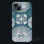 Sealife Blueprint IV iPhone 13 Case<br><div class="desc">Marine Life</div>