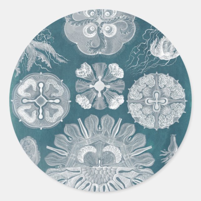 Sealife Blueprint IV Classic Round Sticker (Front)