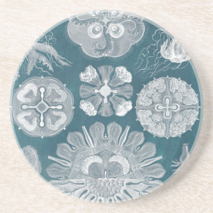 Sealife Blueprint IV Coaster