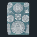 Sealife Blueprint IV iPad Mini Cover<br><div class="desc">Marine Life</div>