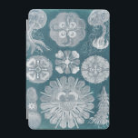 Sealife Blueprint IV iPad Mini Cover<br><div class="desc">Marine Life</div>