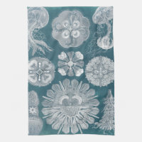Sealife Blueprint IV