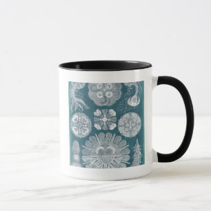 Sealife Blueprint IV Mug